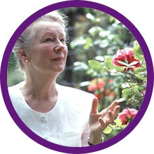 Living at Lavender Court